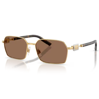 Dolce & Gabbana DG2316 Sunglasses